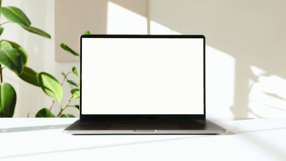 Portfolio-Seite mit Fallstudien und Projektübersicht